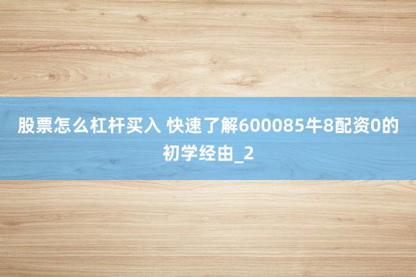 股票怎么杠杆买入 快速了解600085牛8配资0的初学经由_2