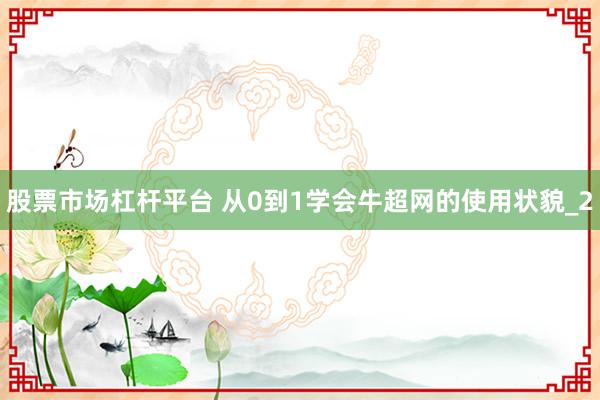 股票市场杠杆平台 从0到1学会牛超网的使用状貌_2
