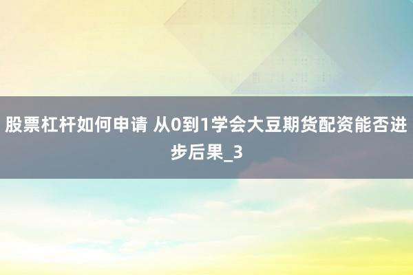 股票杠杆如何申请 从0到1学会大豆期货配资能否进步后果_3