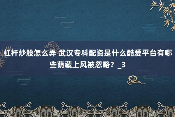 杠杆炒股怎么弄 武汉专科配资是什么酷爱平台有哪些荫藏上风被忽略？_3
