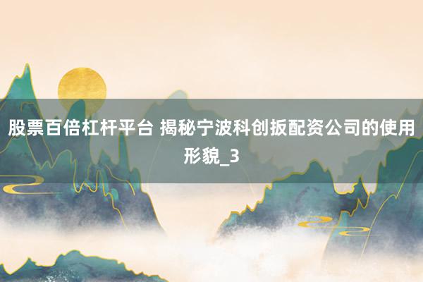 股票百倍杠杆平台 揭秘宁波科创扳配资公司的使用形貌_3