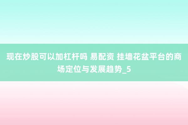 现在炒股可以加杠杆吗 易配资 挂墙花盆平台的商场定位与发展趋势_5
