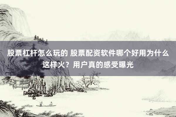 股票杠杆怎么玩的 股票配资软件哪个好用为什么这样火？用户真的感受曝光