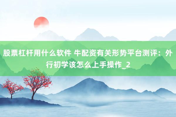 股票杠杆用什么软件 牛配资有关形势平台测评：外行初学该怎么上手操作_2
