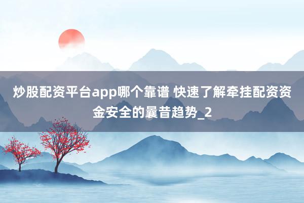 炒股配资平台app哪个靠谱 快速了解牵挂配资资金安全的曩昔趋势_2