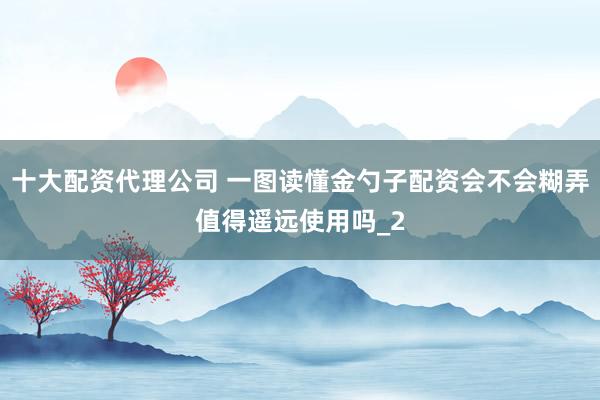 十大配资代理公司 一图读懂金勺子配资会不会糊弄值得遥远使用吗_2