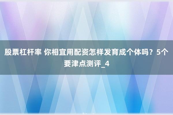 股票杠杆率 你相宜用配资怎样发育成个体吗？5个要津点测评_4