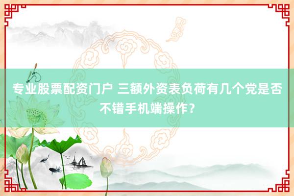 专业股票配资门户 三额外资表负荷有几个党是否不错手机端操作?