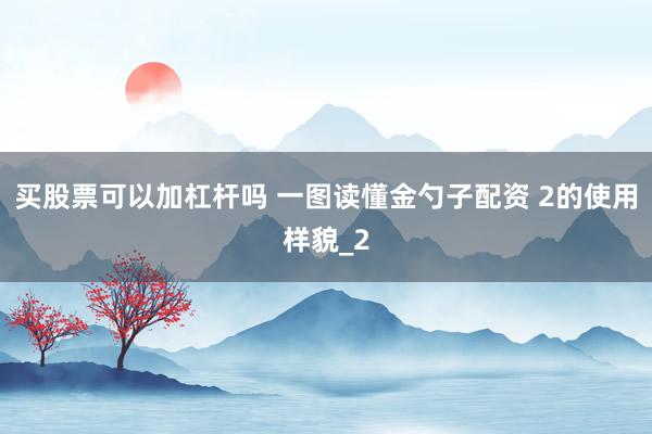 买股票可以加杠杆吗 一图读懂金勺子配资 2的使用样貌_2