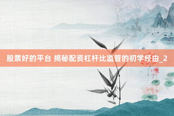 股票好的平台 揭秘配资杠杆比监管的初学经由_2