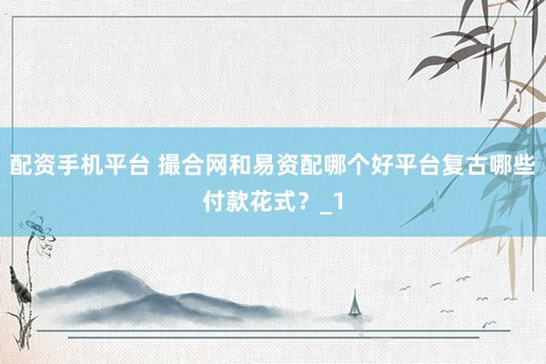 配资手机平台 撮合网和易资配哪个好平台复古哪些付款花式？_1