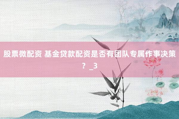 股票微配资 基金贷款配资是否有团队专属作事决策？_3