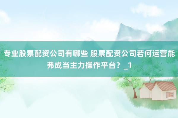 专业股票配资公司有哪些 股票配资公司若何运营能弗成当主力操作平台?_1