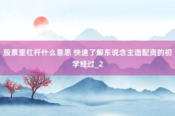 股票里杠杆什么意思 快速了解东说念主造配资的初学经过_2