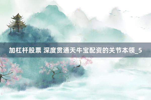 加杠杆股票 深度贯通天牛宝配资的关节本领_5