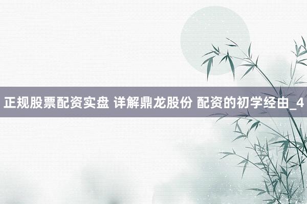 正规股票配资实盘 详解鼎龙股份 配资的初学经由_4